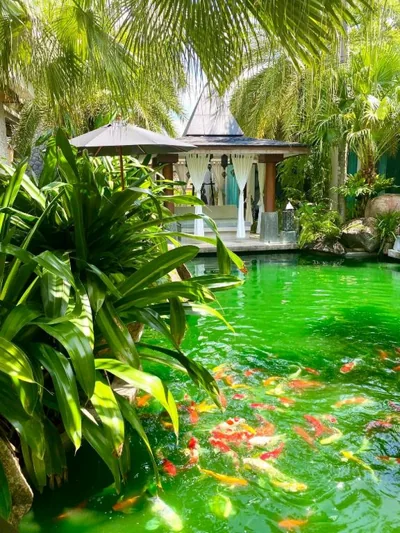 Villa on The Rocks, 4 bedrooms, Phuket – Foto 9